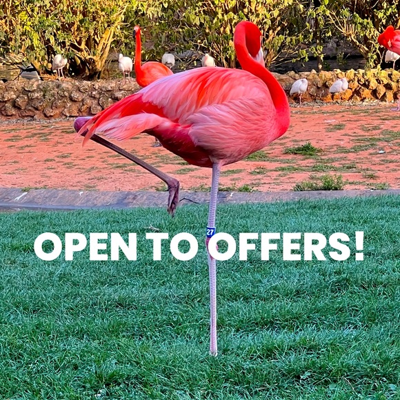 Thank you for Visiting My Closet - Picture 1 of 1